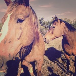 Meet your Posher, Jenny